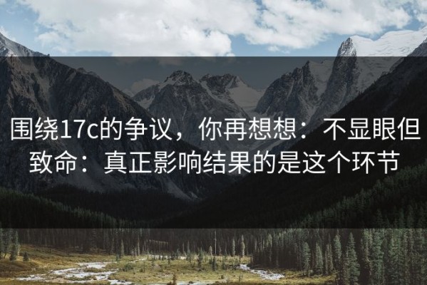 围绕17c的争议，你再想想：不显眼但致命：真正影响结果的是这个环节