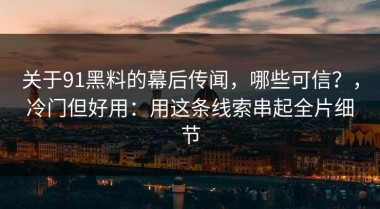 关于91黑料的幕后传闻，哪些可信？，冷门但好用：用这条线索串起全片细节