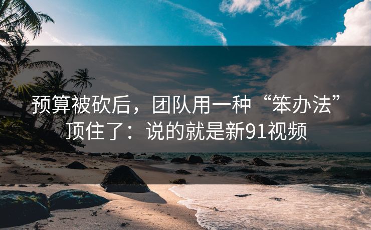 预算被砍后，团队用一种“笨办法”顶住了：说的就是新91视频