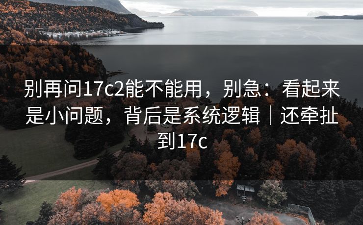 别再问17c2能不能用，别急：看起来是小问题，背后是系统逻辑｜还牵扯到17c