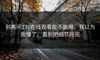 别再问17c在线观看能不能用，我以为我懂了，直到把细节捋完