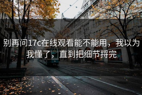 别再问17c在线观看能不能用，我以为我懂了，直到把细节捋完
