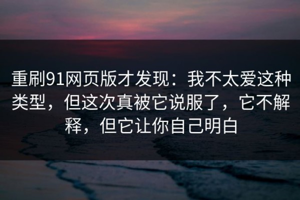 重刷91网页版才发现：我不太爱这种类型，但这次真被它说服了，它不解释，但它让你自己明白