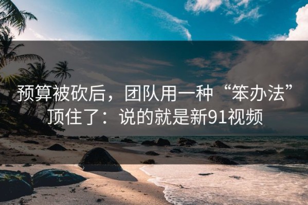 预算被砍后，团队用一种“笨办法”顶住了：说的就是新91视频