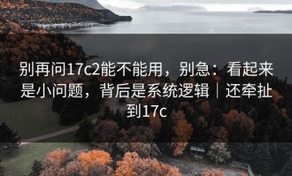 别再问17c2能不能用，别急：看起来是小问题，背后是系统逻辑｜还牵扯到17c