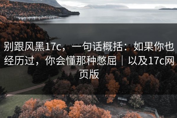 别跟风黑17c，一句话概括：如果你也经历过，你会懂那种憋屈｜以及17c网页版