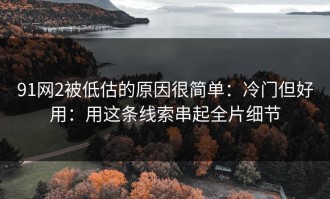 91网2被低估的原因很简单：冷门但好用：用这条线索串起全片细节