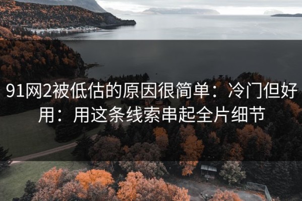 91网2被低估的原因很简单：冷门但好用：用这条线索串起全片细节