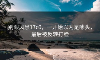 别跟风黑17c0，一开始以为是噱头，最后被反转打脸