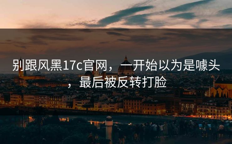 别跟风黑17c官网，一开始以为是噱头，最后被反转打脸