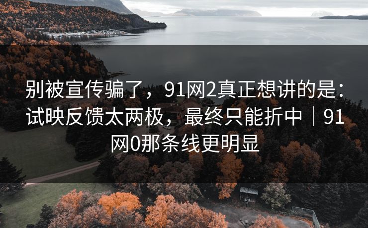 别被宣传骗了，91网2真正想讲的是：试映反馈太两极，最终只能折中｜91网0那条线更明显