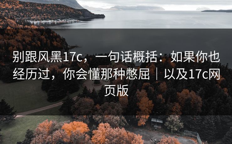 别跟风黑17c，一句话概括：如果你也经历过，你会懂那种憋屈｜以及17c网页版