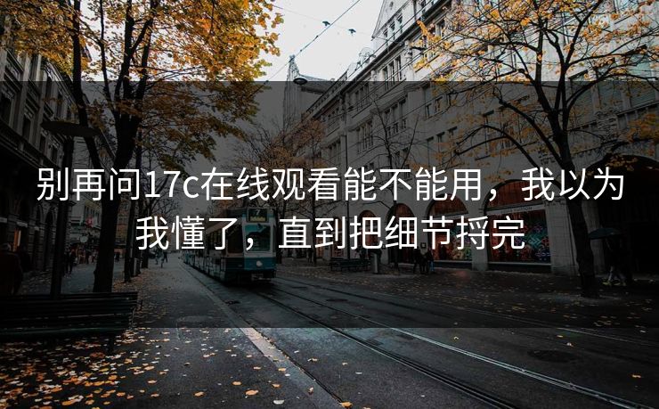 别再问17c在线观看能不能用,我以为我懂了,直到把细节捋完 别再问17c在线观看能不能用,我以为我懂了,直到把细节捋完