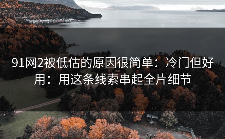 91网2被低估的原因很简单:冷门但好用:用这条线索串起全片细节 91网2被低估的原因很简单:冷门但好用:用这条线索串起全片细节